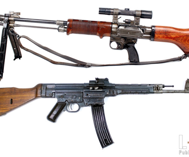 STG 44 & FG 42 : origins and legacies